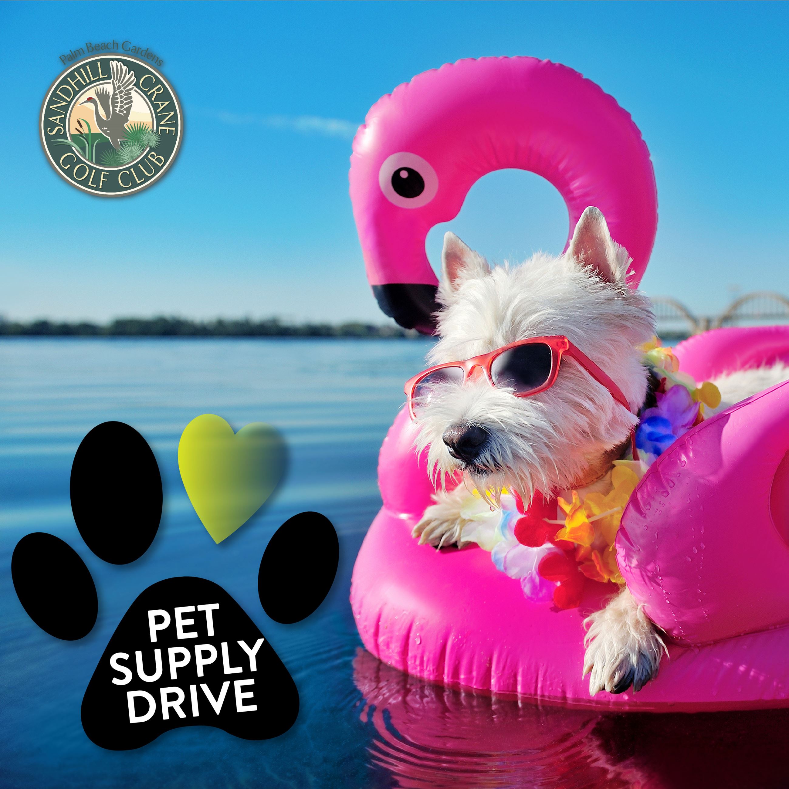 Golf Pet Supply Drive