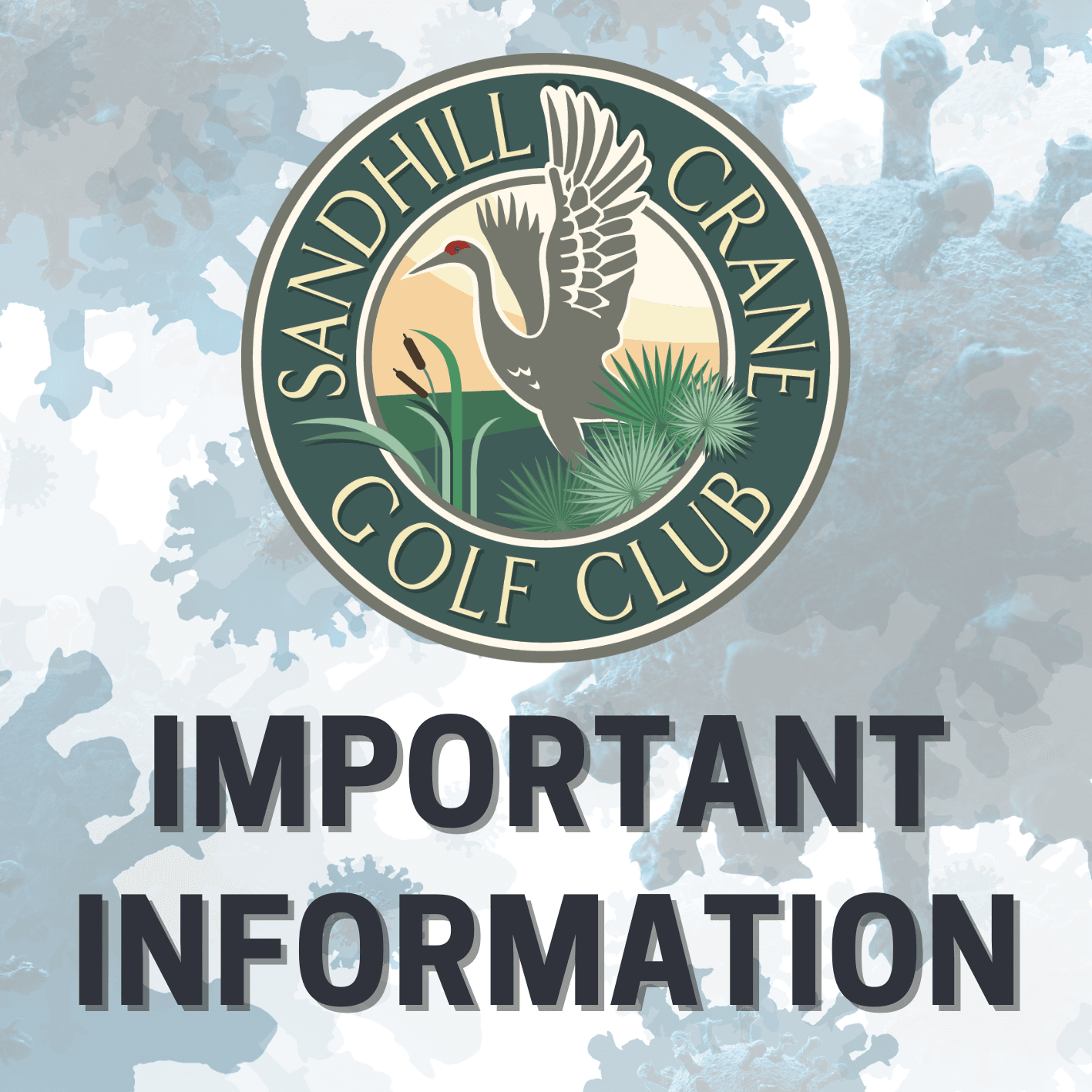 COVID 19 Information