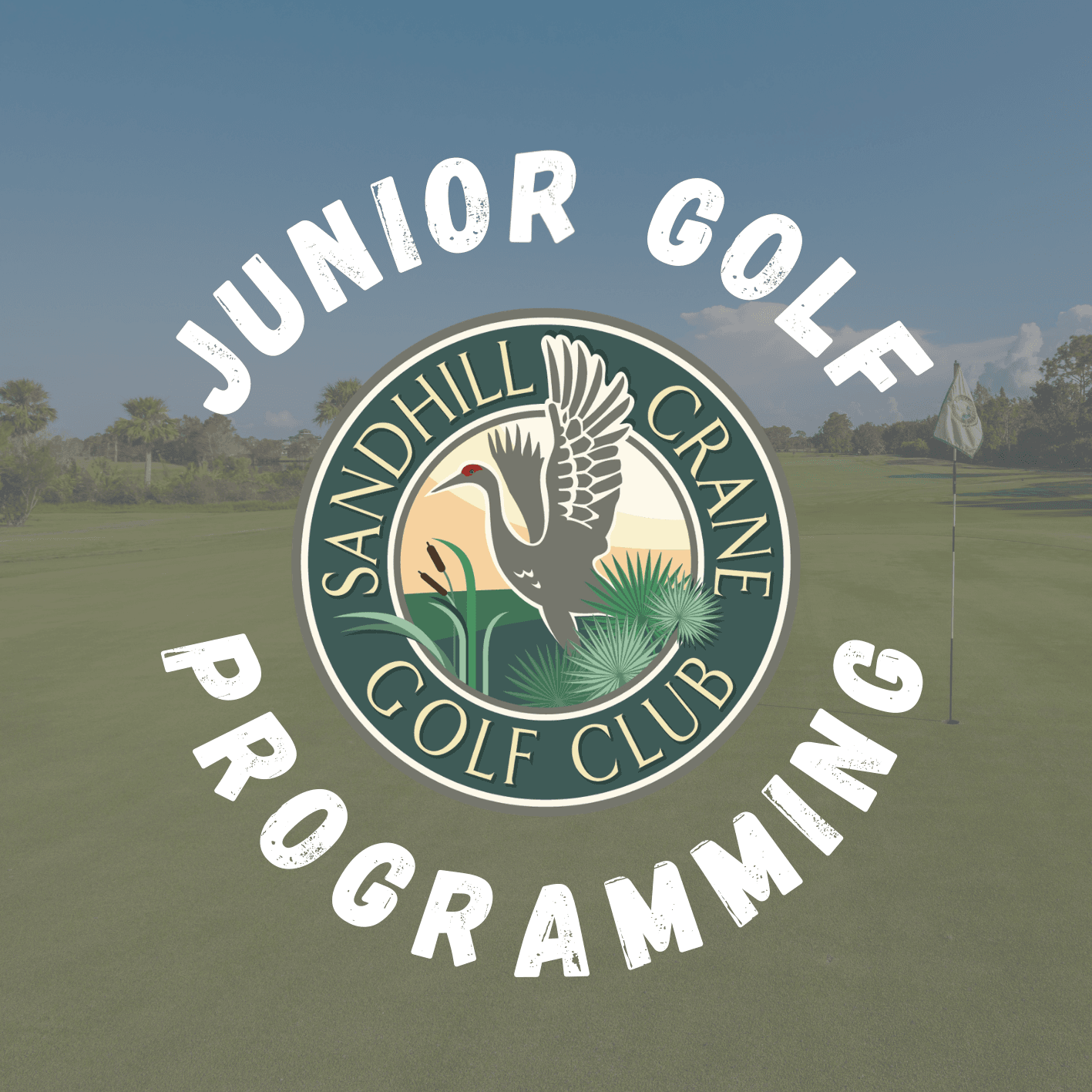 Junior Golf Programming