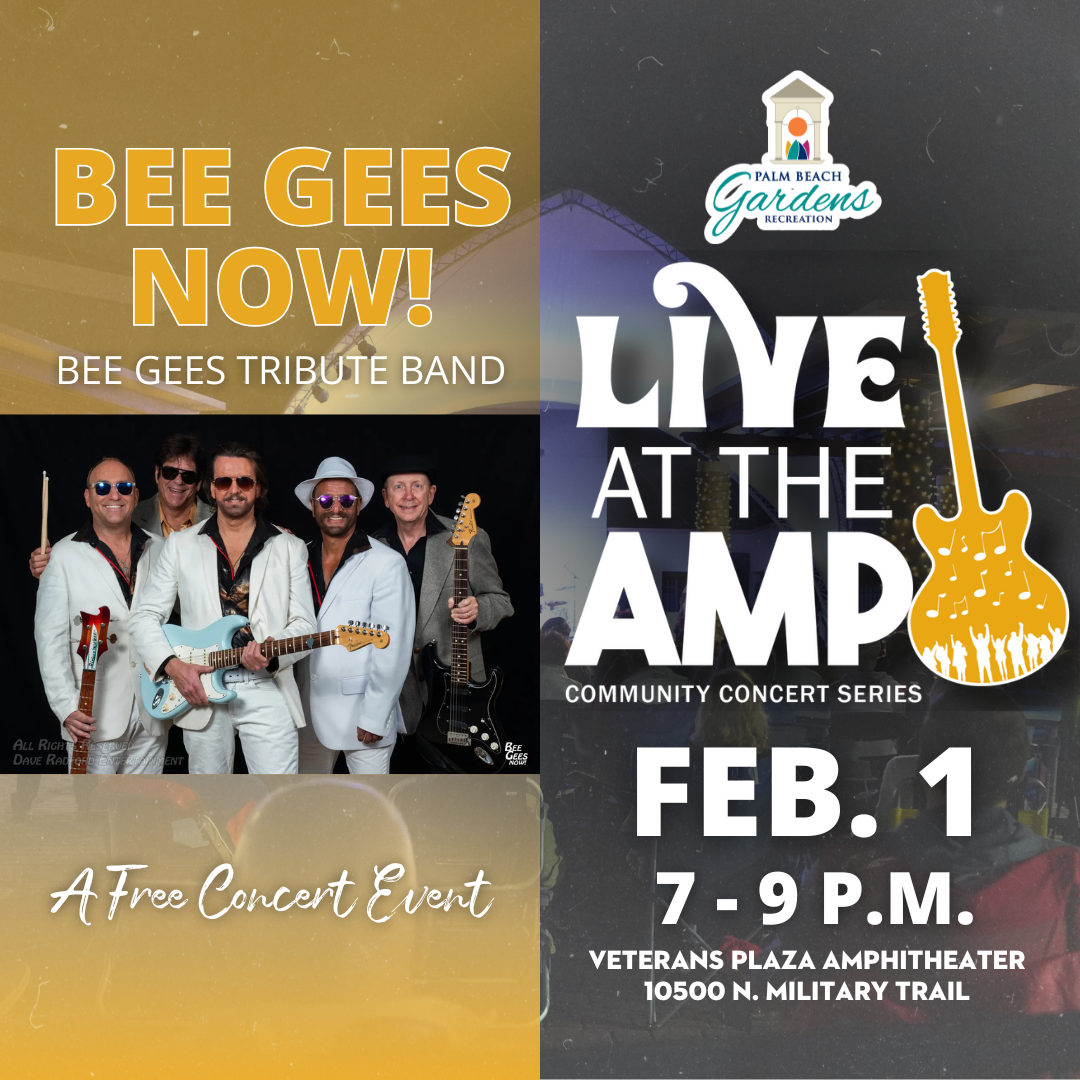 Live at the Amp Bee Gee's tribute concert.