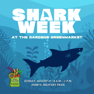 Shark Week at the Gardens GreenMarket.