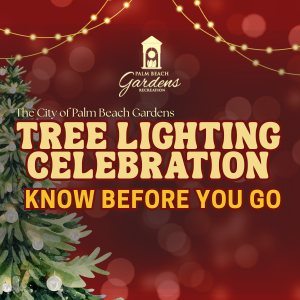 Tree Lighting Celebration Know Before You Go.