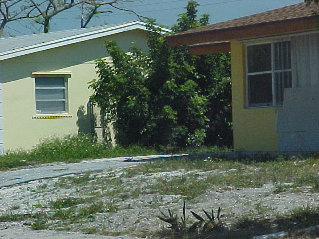 Photo of Unkept Lawn