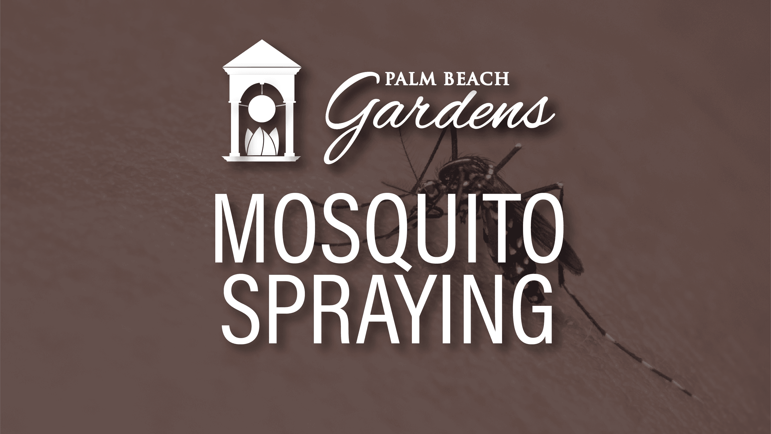 pbg-mosquitospraying-01