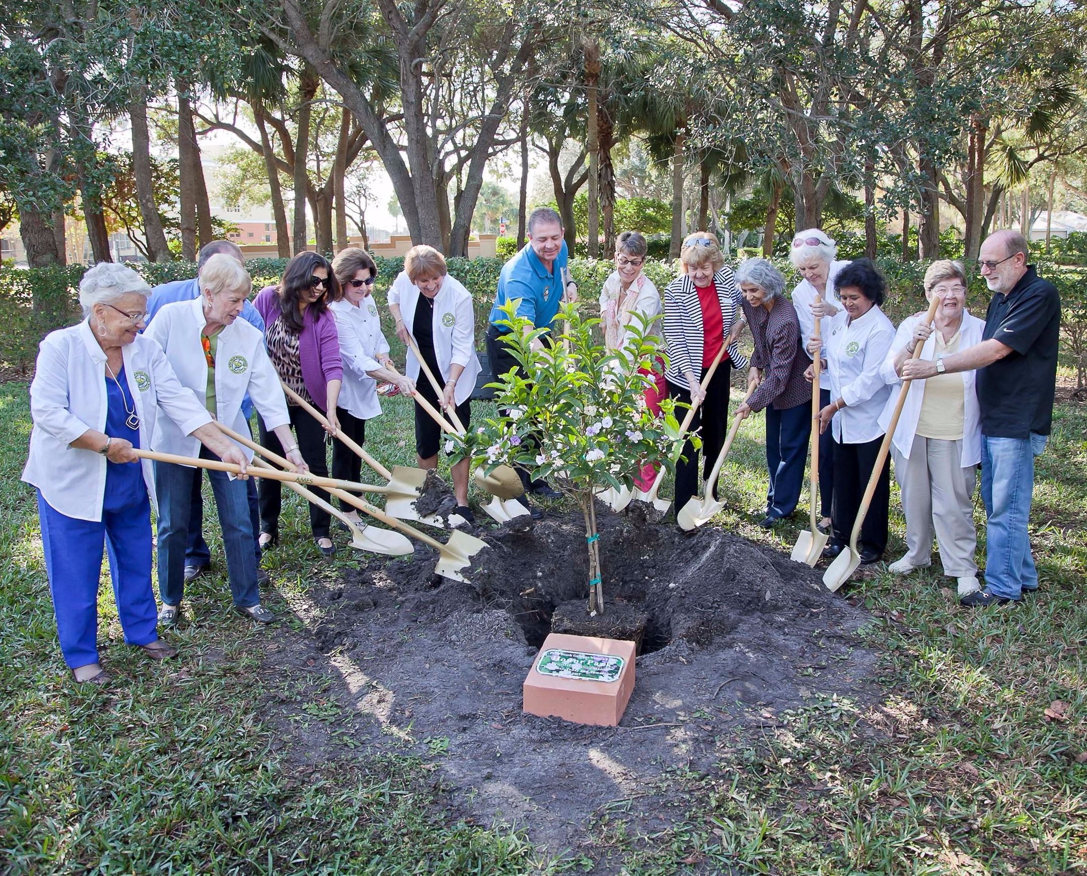 Arbor Day 2017 planting a tree