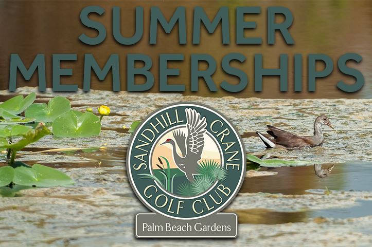 Summer Memberships