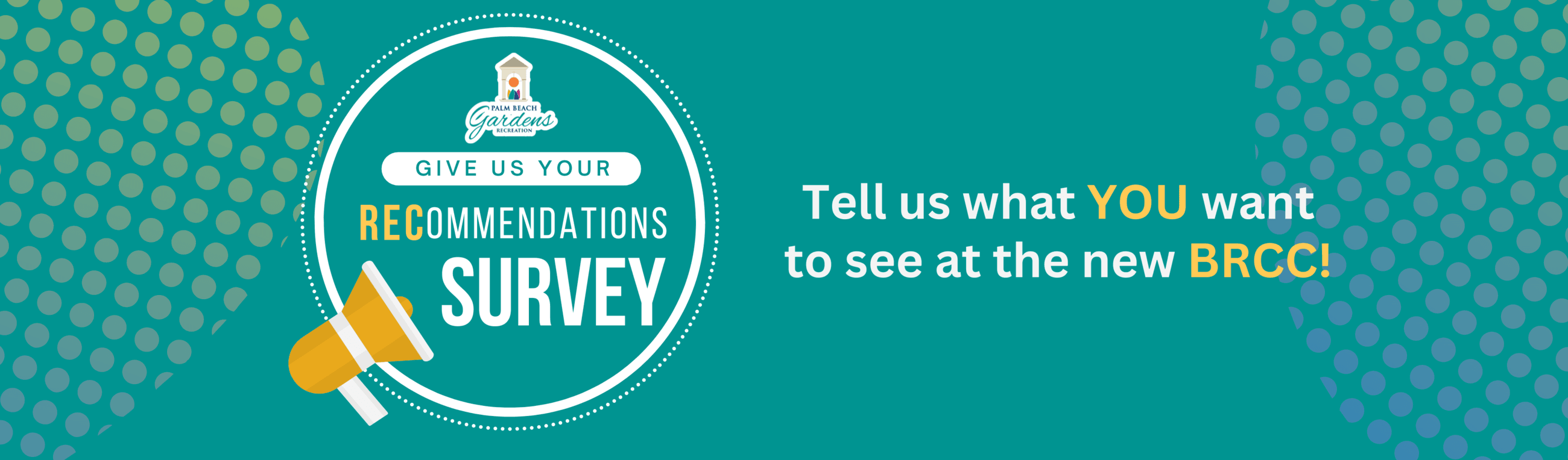 Recommendations Survey.